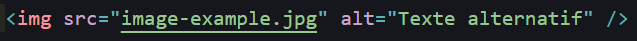 Code avec un texte alternatif