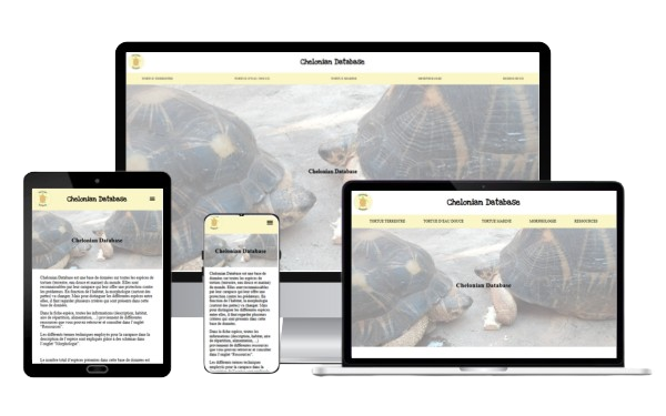 Page Chelonian Database